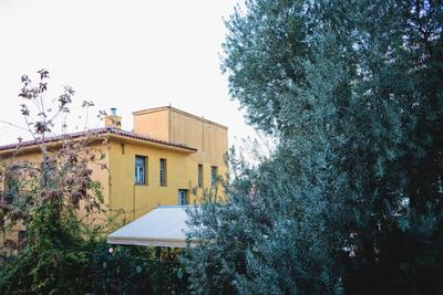Plaka Heart