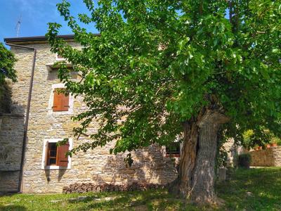 al Merlo Olivo, rural istrian house
