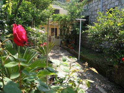 Apartments Solitudo