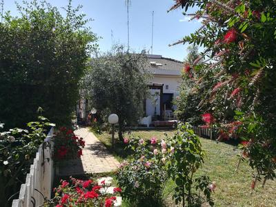 Geko's House
