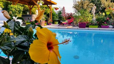 L'Hermine Occitane B&B