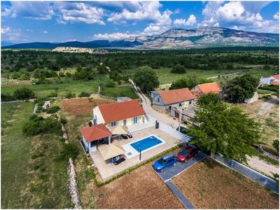 House Mellifera