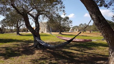 Trullo in Uliveto by RENTHOUSESALENTO
