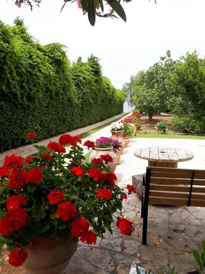 Villa Alkyon - Dreamy 3BR, Pool & BBQ next to Varnavas Beach