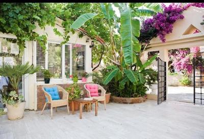 Merve Apartments, your home from home in central BODRUM, street cats frequent the property, not all apartments have balconies , ground floor have terrace w