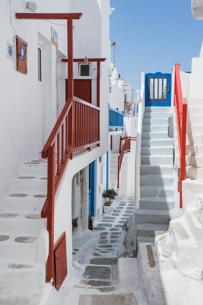 White and Grey Chora
