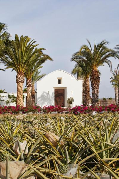 Hotel San Cristobal Adults 15+