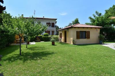 Stellina's House