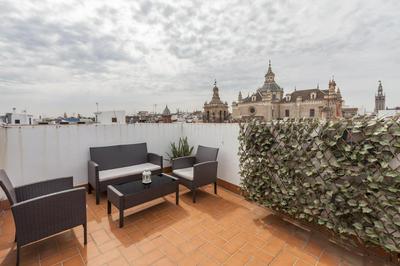 Casas de Sevilla - Apartamentos Cuna 41