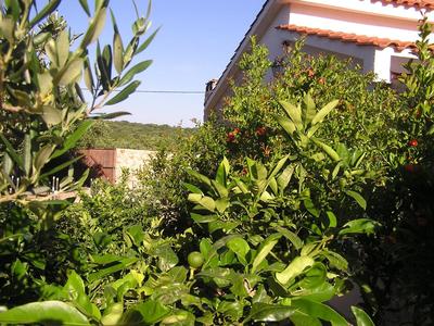 Vila SanAdrija