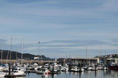 Viveiro