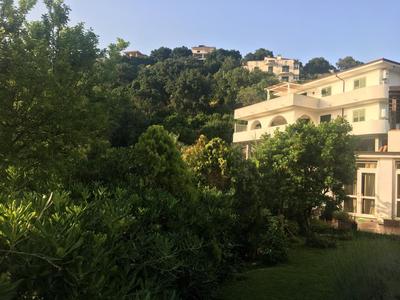 La Bouganville
