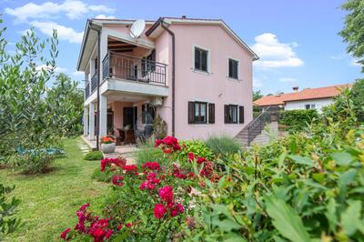 Apartments Radović