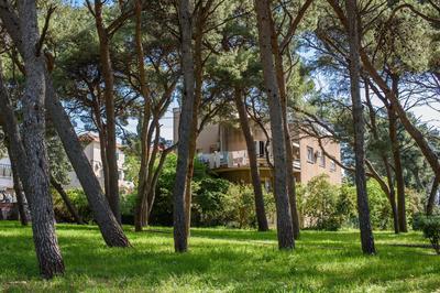 Best location Apartments