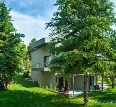 Sani More & Sani Woods