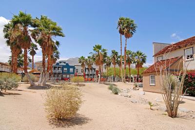 Palm Canyon Hotel and RV Resort, Billede 2