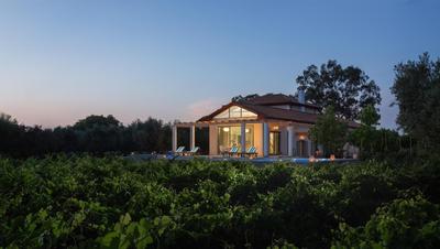 Aneli Luxury Villas-Villa Elissavet