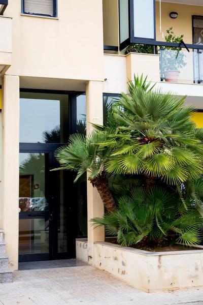 CASA BICE 2 - Cin P4164