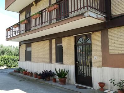 B&B Casa degli Ulivi