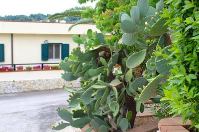 Villaggio Turistico Defensola
