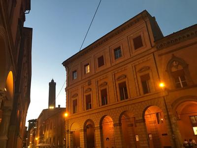 Falcone 22