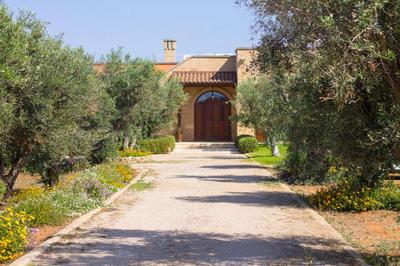Biancolivo Gallipoli in Salento