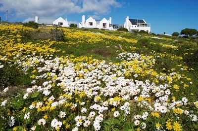 Abalone Hotel & Villas