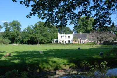 De Jufferen Lunsingh