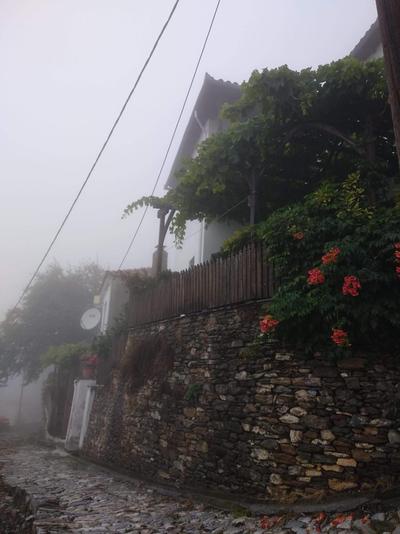 Village House