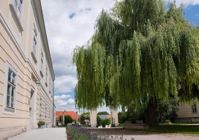 OBENauf in Unternalb, 写真 2