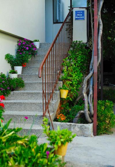 Green Garden Apartment