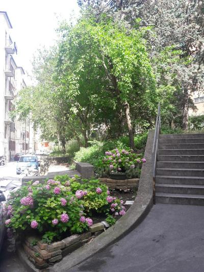 Casa Micol