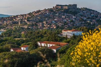 Delfinia Hotel & Bungalows