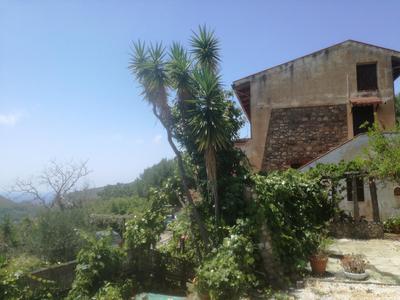 Casa de rosa