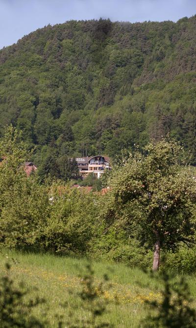 Hotel Am Hirschhorn - Wellness - Spa - and more