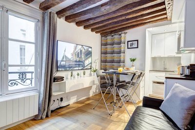 Historic Paris Apartment Steps from Notre Dame and Louvre - Limited Offer