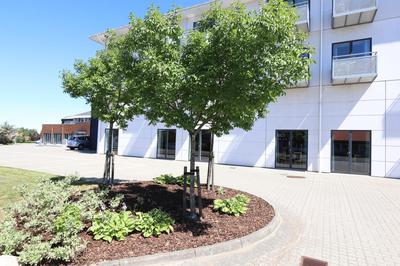 Hotel Viking Aqua Spa & Wellness