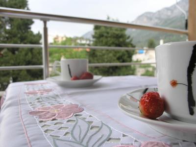 Musa apartment