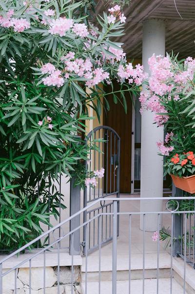 Villa Magnolia