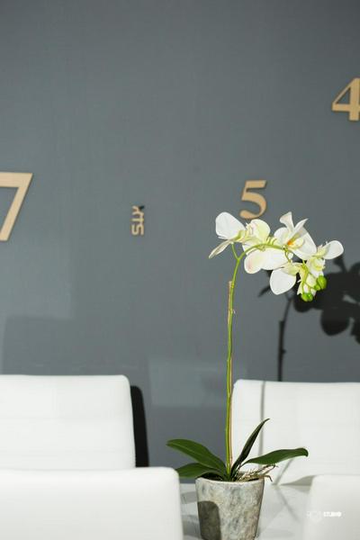 Apartamentos Dacris