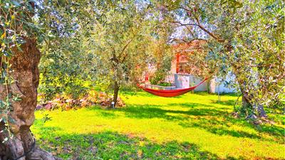 Sunray Separate Villa