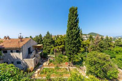Apartment Hedera A55