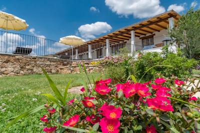 NIOLEO - Apartments and Pool