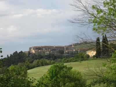 Il Merlo Verde