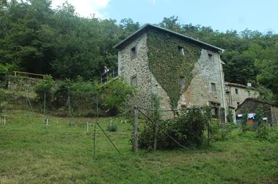La casa nel bosco-senza auto