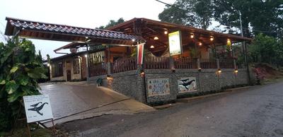 Cabinas Pura Vida B&B and Tour Operator