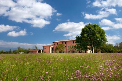 Tenuta San Giovanni Lucca