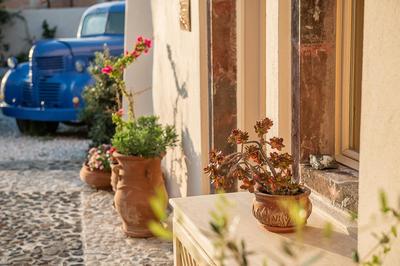 Flora's House & Cave Winery