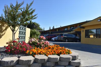 Apex Inn, Billede 2