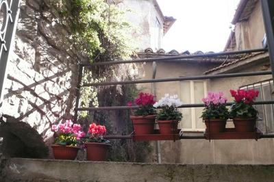 Le Camere di Casa Cassandra